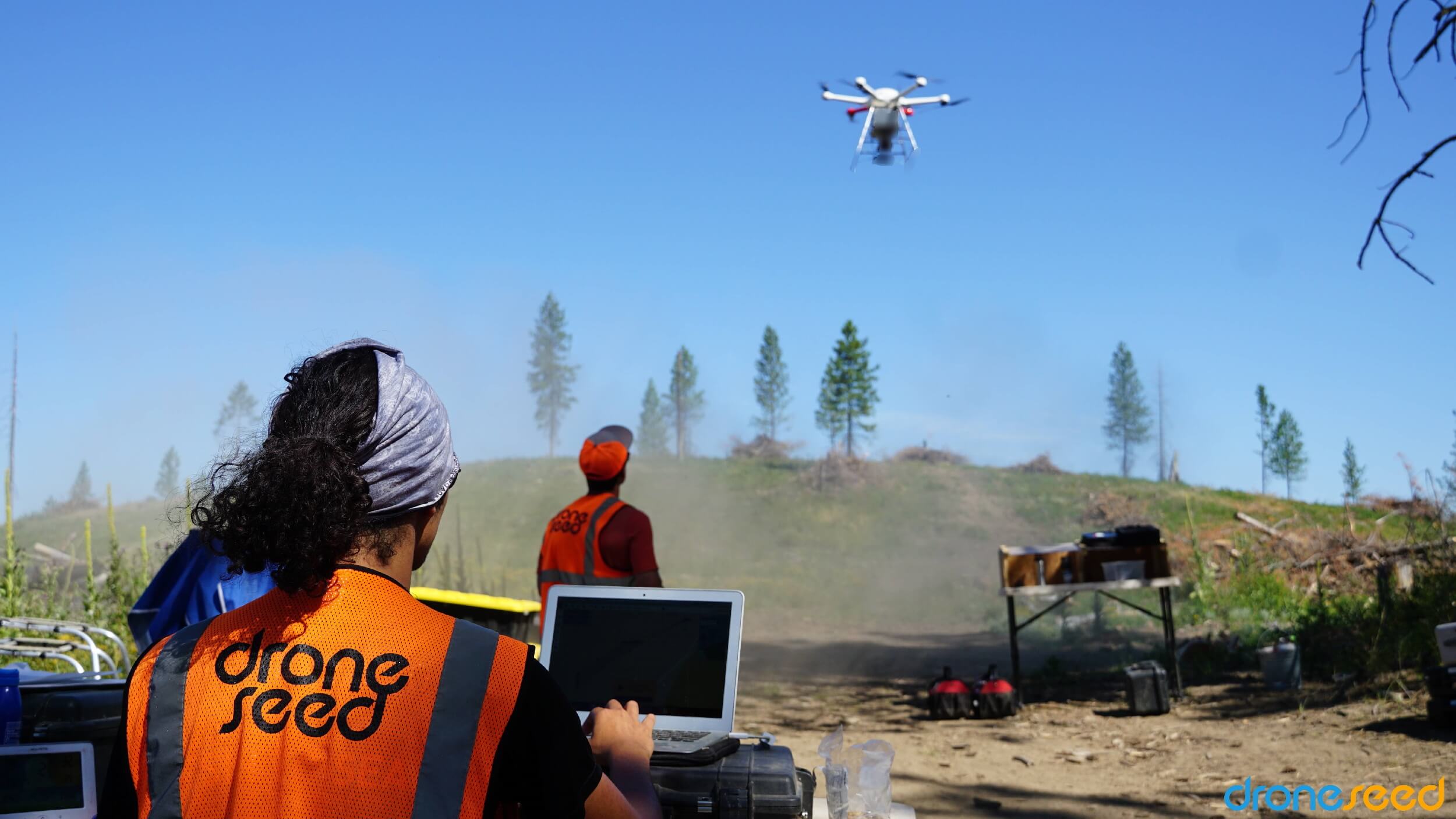 Drone Seed